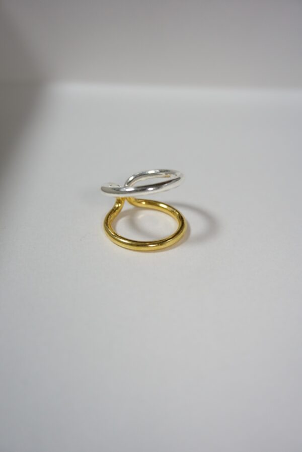 Double ring mix - Image 2