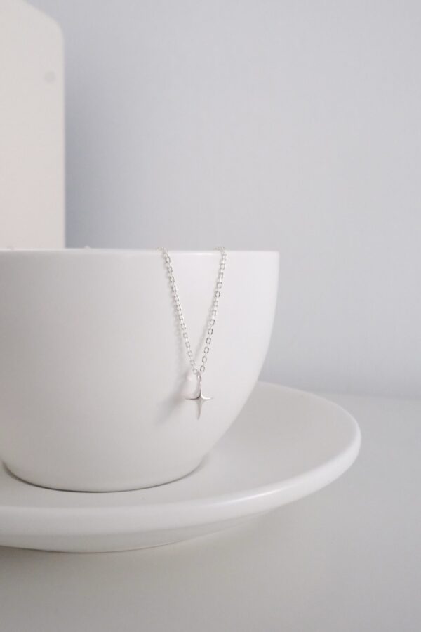 ★: ̗̀ [925silver] Wishes Necklace ✨：圖片 3