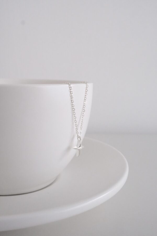★: ̗̀ [925silver] Wishes Necklace ✨：圖片 4