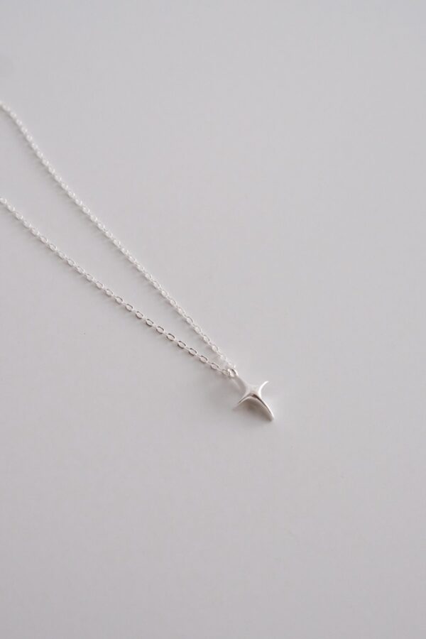 ★: ̗̀ [925silver] Wishes Necklace ✨：圖片 5